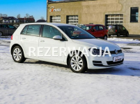 Volkswagen Golf VII _ 5 Drzwi _ Salon Polska Serwisowany