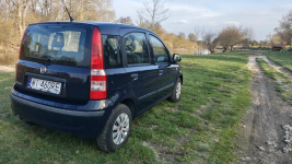 Panda klima prywatnie Nowy Dwór Mazowiecki - zdjęcie 3