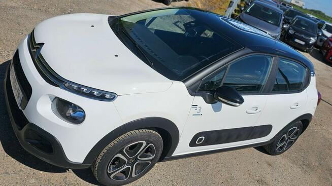 C3 80tys.km Pleszew - zdjęcie 1