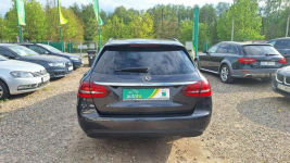 Mercedes C 180 Led High Performance Zieleniewo - zdjęcie 8