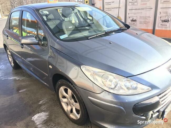 Peugeot 307 rok 2007 DCI Zendek - zdjęcie 1
