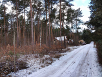 Działki  na sprzedaż  , Leśno  budowlane Marynino - zdjęcie 9
