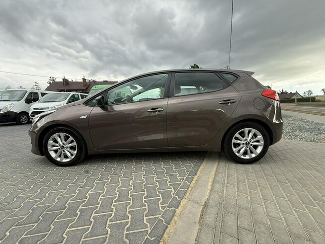 Kia Ceed 1.6b Lift 2017r LED Klimatyzacja Kamera Cofania Alufelgi 5-D! Sokołów Podlaski - zdjęcie 10