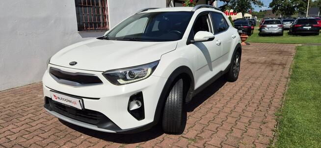 Kia Stonic AUTOMAT-KAMERA-LED-MEDIA Paproć - zdjęcie 3