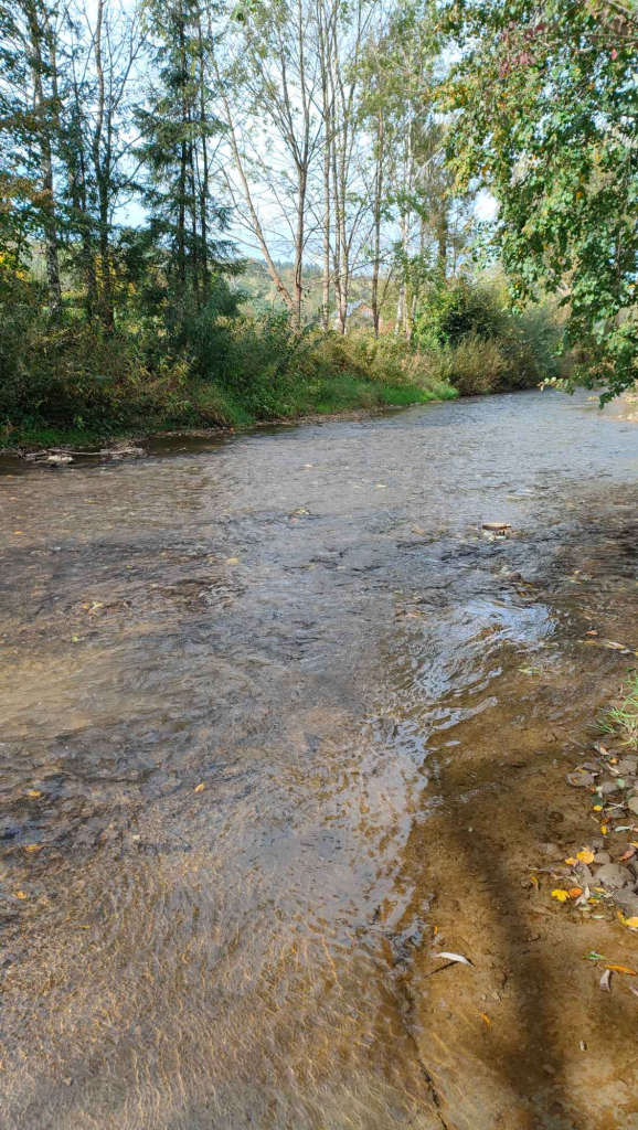 Działka rolna 28 ha. Brzuska - zdjęcie 11