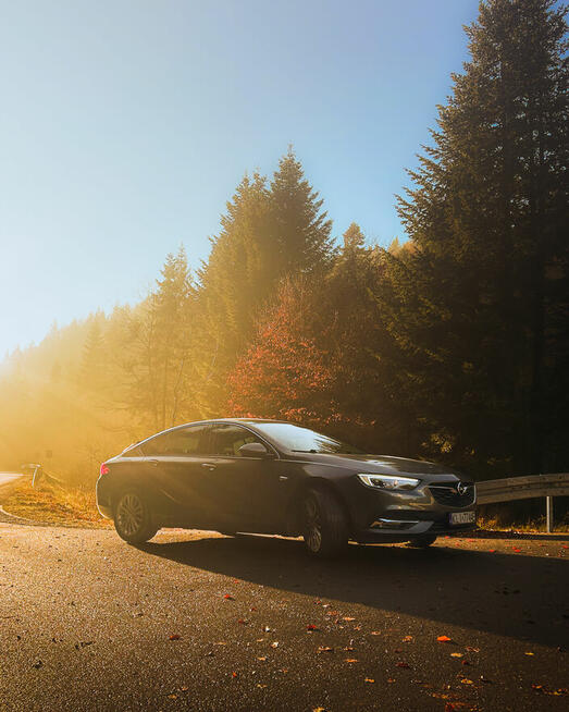 Opel Insignia 2.0 Turbo D Lubomierz - zdjęcie 3