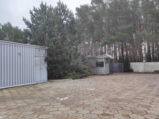 Lokal na wynajem Słupno Słupno - zdjęcie 4