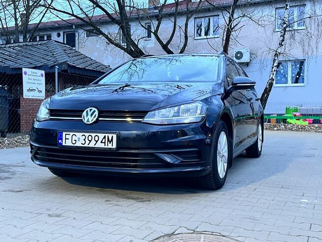 Volkswagen Golf VII 1.0 TSI Alu Klima Tempomat Grzane fotele Gorzów Wielkopolski - zdjęcie 1
