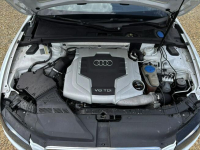 A5 3.0 TDI 239KM s-line NAVI xenon SKÓRA klima SERWIS bezwypadek 2010 Tychy - zdjęcie 8