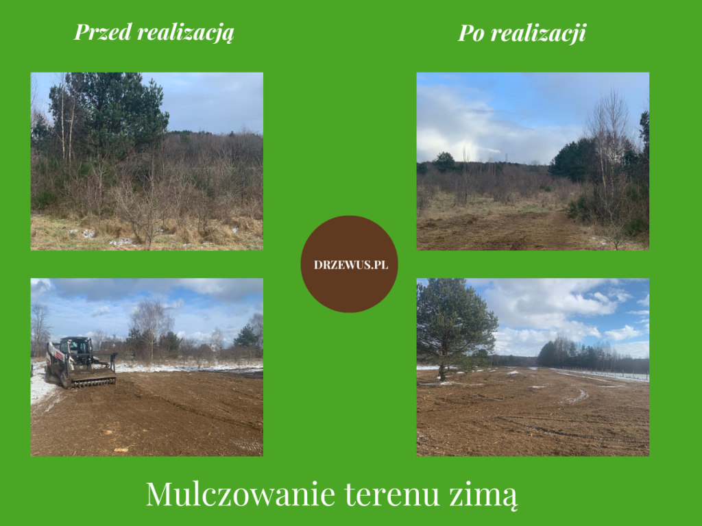 Czyszczenie działki i przygotowanie terenu pod budowę  -DRZEWUS Gdańsk - zdjęcie 4