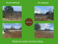 Czyszczenie działki i przygotowanie terenu pod budowę  -DRZEWUS Gdańsk - zdjęcie 4