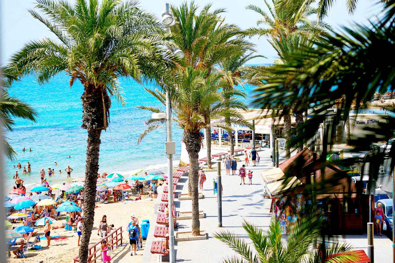 Hiszpania, to słońce, morze i piaszczysta plaża – w rytmie Flamenco! Śródmieście - zdjęcie 7
