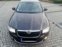 Skoda Superb Platinum 2.0 TDI salon Polska 1 właściciel