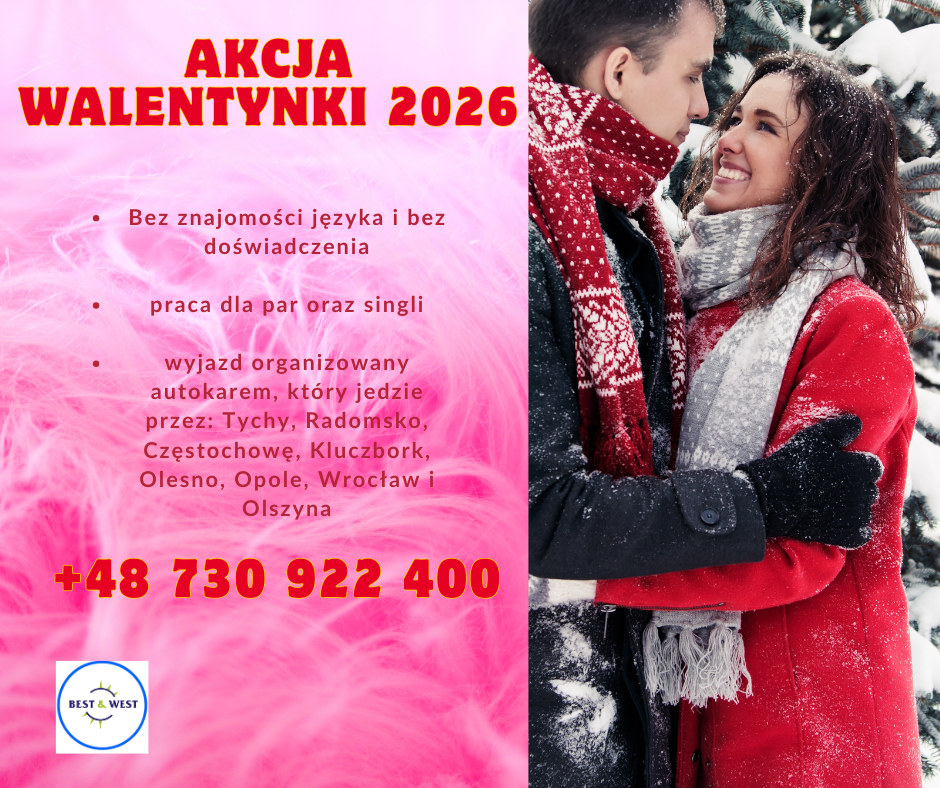 zapisy na wyjazd do pracy przy kwiatach w Holandii Strzelce Opolskie - zdjęcie 1