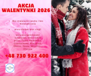 zapisy na wyjazd do pracy przy kwiatach w Holandii