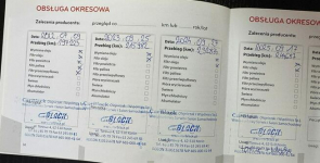 Peugeot 301 Salon Polska - Pisemna Gwarancja 12 miesięcy Konin - zdjęcie 9