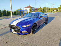 Ford Mustang serfekcyjny stan aktywny wydech Kalwaria Zebrzydowska - zdjęcie 7