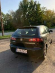 Seat Ibiza .