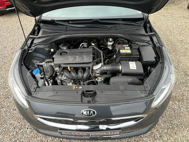 Kia Cee'd 1,4i*100Ps*93.000Km*ASO*Led*Asystent*PL Stargard - zdjęcie 11