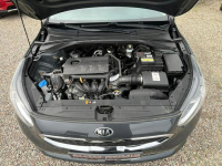 Kia Cee'd 1,4i*100Ps*93.000Km*ASO*Led*Asystent*PL Stargard - zdjęcie 11