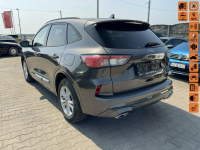 Ford Kuga ST Line Hybryda Plug IN Automat Skóra Podgrzewanie 225KM