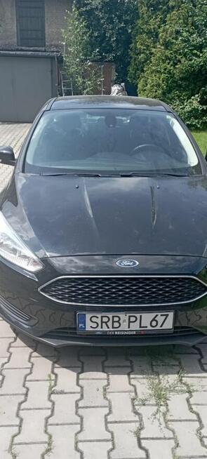 Sprzedam Forda Focusa bezwypadko Bełk - zdjęcie 1