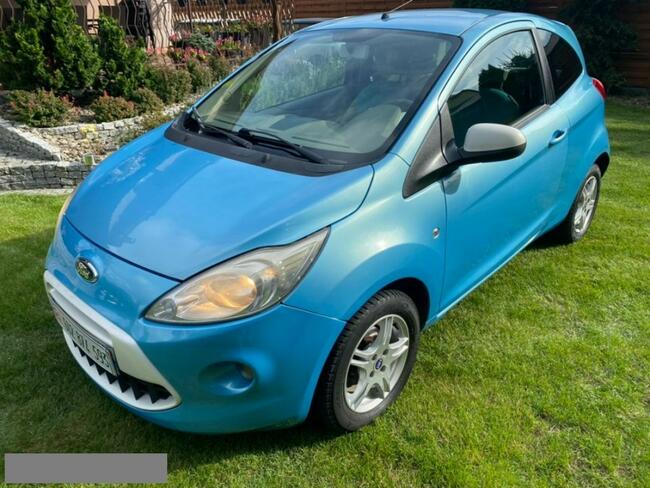 Ford KA Gwarancja Titanium Klimatronik Alumy Nowy Rozrząd Bardzo Ladny Miasteczko Śląskie - zdjęcie 3