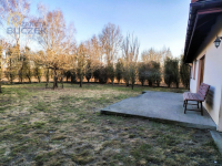 Sprzedam parterowy dom w Wawrzyszewie Wawrzyszew - zdjęcie 11