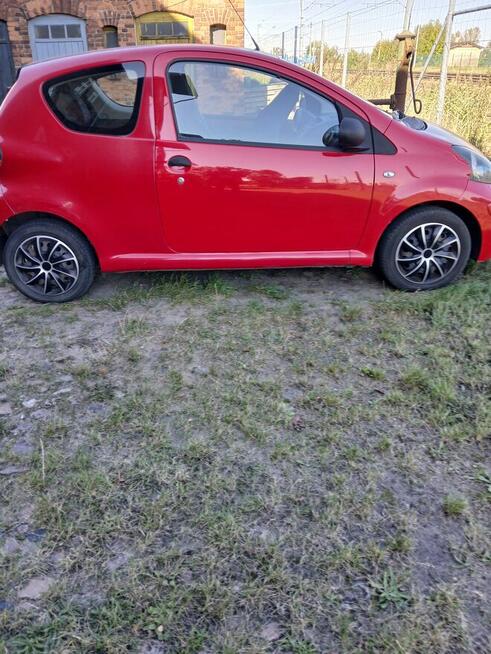 Sprzedam Kłoda - zdjęcie 2