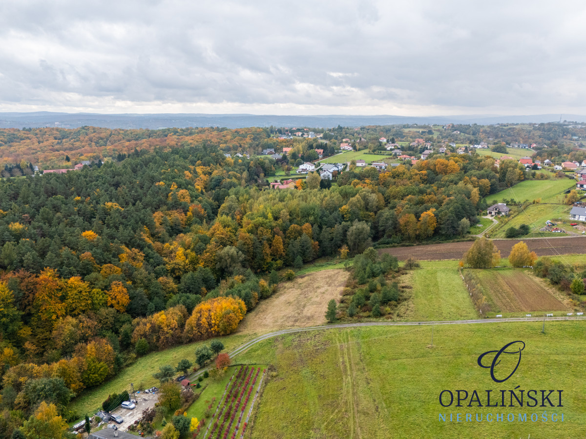 Działka pod lasem 16,80 ar z warunkami zabudowy Rzeszów - zdjęcie 4