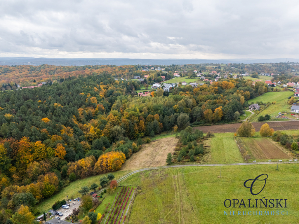 Działka pod lasem 16,80 ar z warunkami zabudowy Rzeszów - zdjęcie 4