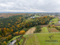 Działka pod lasem 16,80 ar z warunkami zabudowy Rzeszów - zdjęcie 4