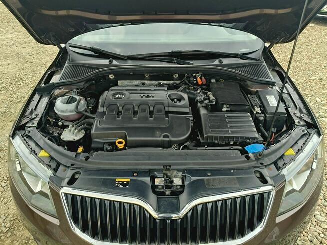 Škoda Octavia TDi*4x4*Niski przebiegm Bibice - zdjęcie 10