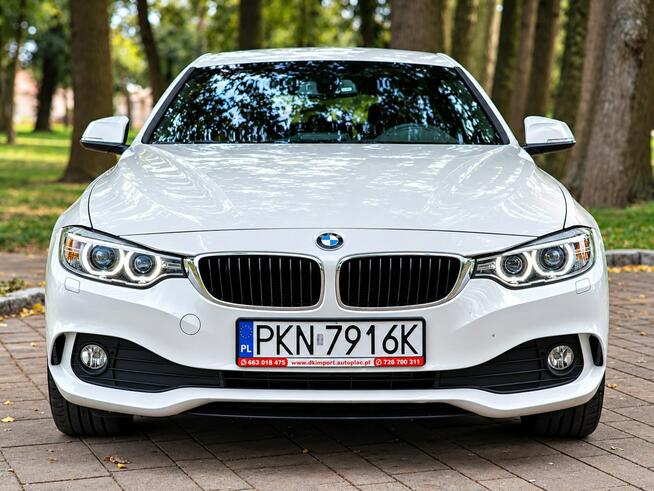 BMW 420 Sadlno - zdjęcie 2