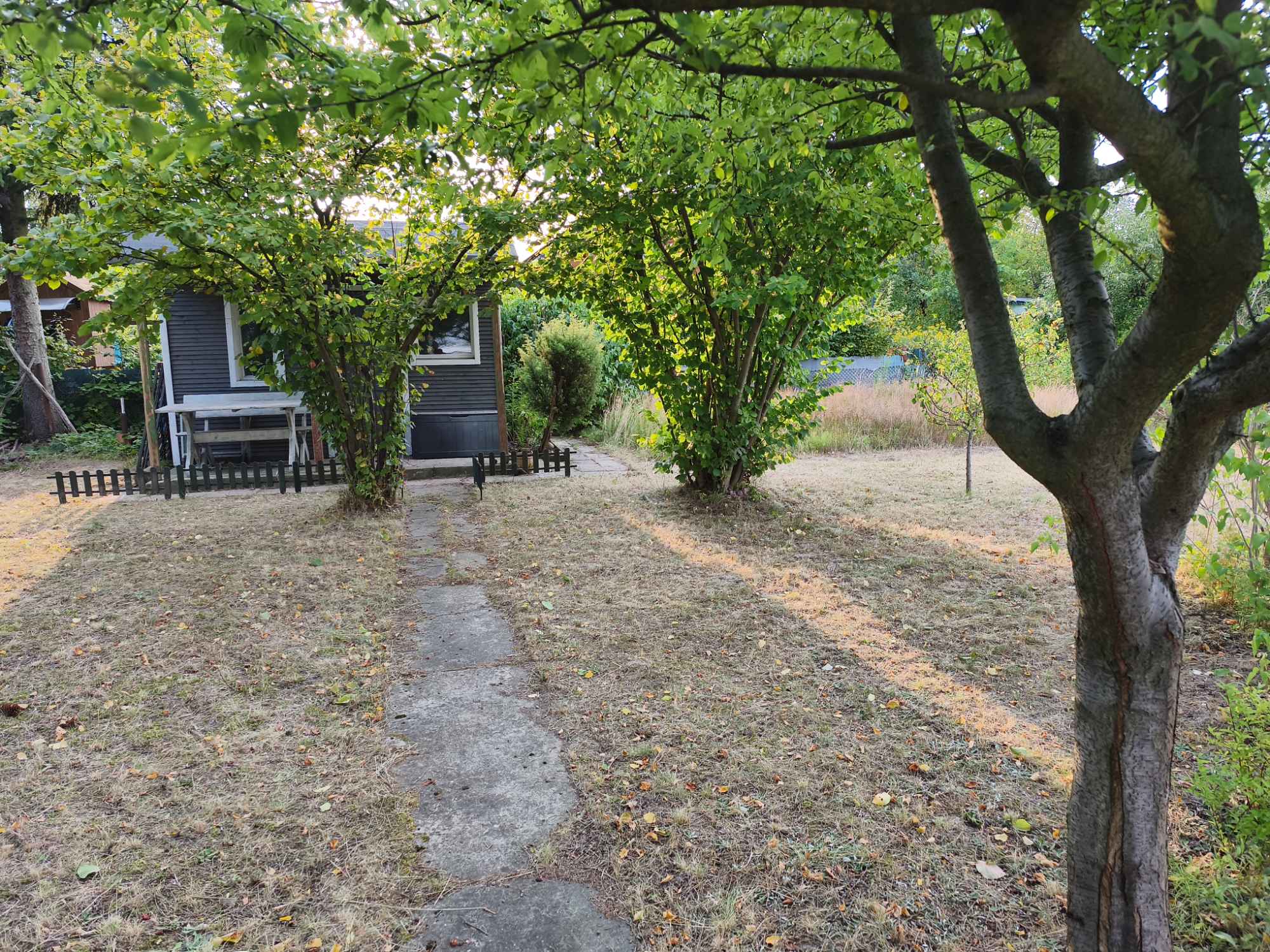 Prawa do działki ROD na Paluchu Ochota - zdjęcie 2