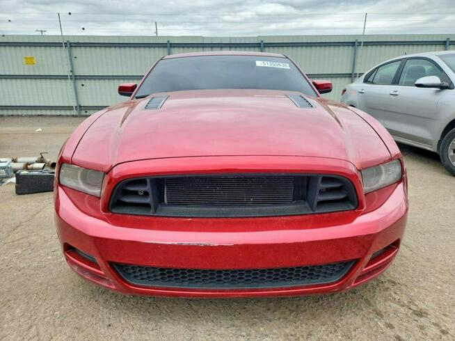 Ford Mustang 5.0 V8 / bogate wyposażenie / Wrocław - zdjęcie 5