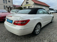 Mercedes E 350 E350CDI*Cabriolet*B i Xenon*Skóra*Navi*Polecam ! ! ! Miechów - zdjęcie 7