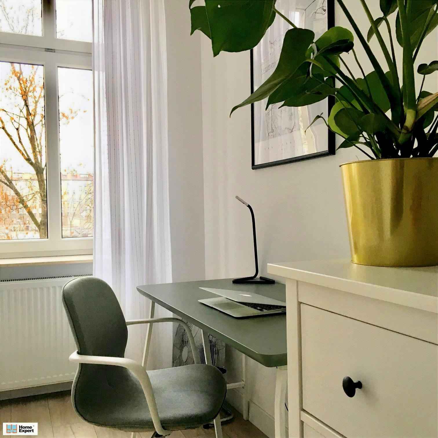 2pok, 50met, Okolice Parku Tołpy PIWNICA (Wrocław) Śródmieście - zdjęcie 5