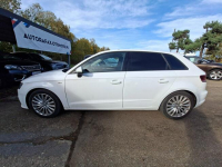Audi A3 Klimatronic 2-stref, Podgrz. fotele, Nawigacja, 2 kpl. kół Cieszyn - zdjęcie 7