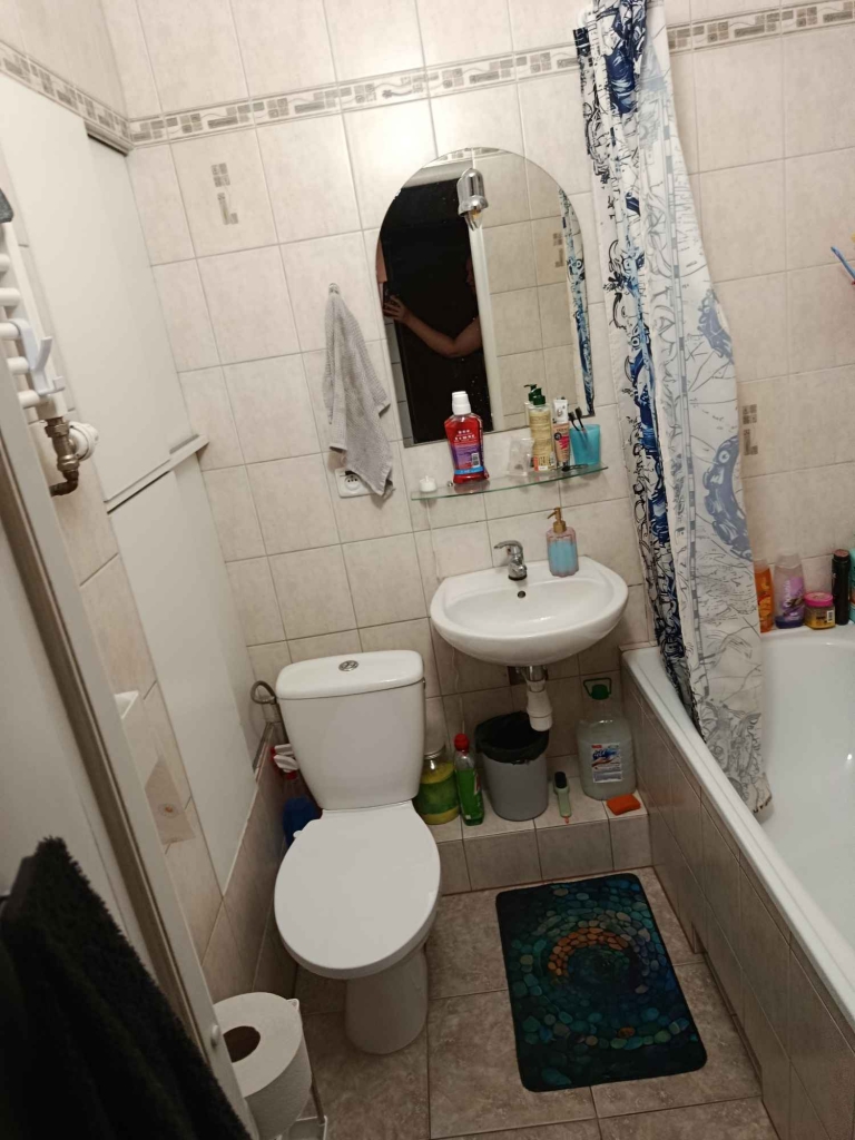 Pół mieszkania na wynajem Rataje Nowe Miasto - zdjęcie 8