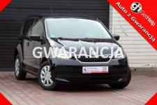 Škoda Citigo Led /Klima /MPI /67000Km /2019r