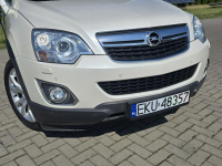 Opel Antara 2,4 Benz. 4x4(AWD) Serwis,Xenony.Navi.Skóry.Podg.Fotele Kutno - zdjęcie 5