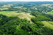 20 km od Rzeszowa | 2, 61 ha |  Cicha okolica Straszydle - zdjęcie 7