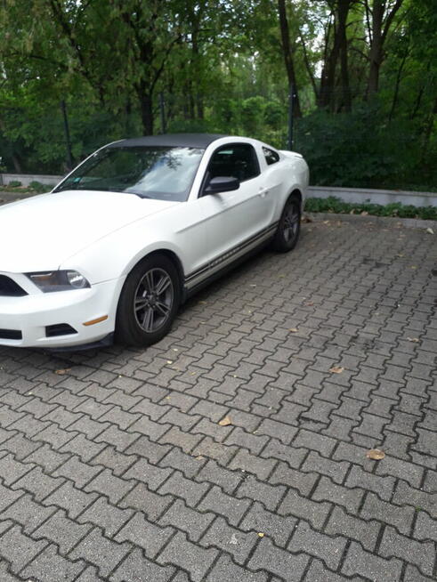 Ford Mustang 3.7 V6 Cyclone 305 KM | Bogata wersja PREMIUM | Katowice - zdjęcie 8
