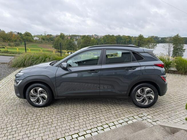 hyundai Kona hybryda, LIFT 1.6, KRELL Sierakowice - zdjęcie 5