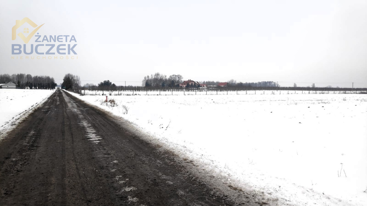 Sprzedam działki z WZ w Skarbikowie Skarbikowo - zdjęcie 4