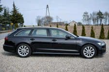 Audi A6 Sadlno - zdjęcie 4