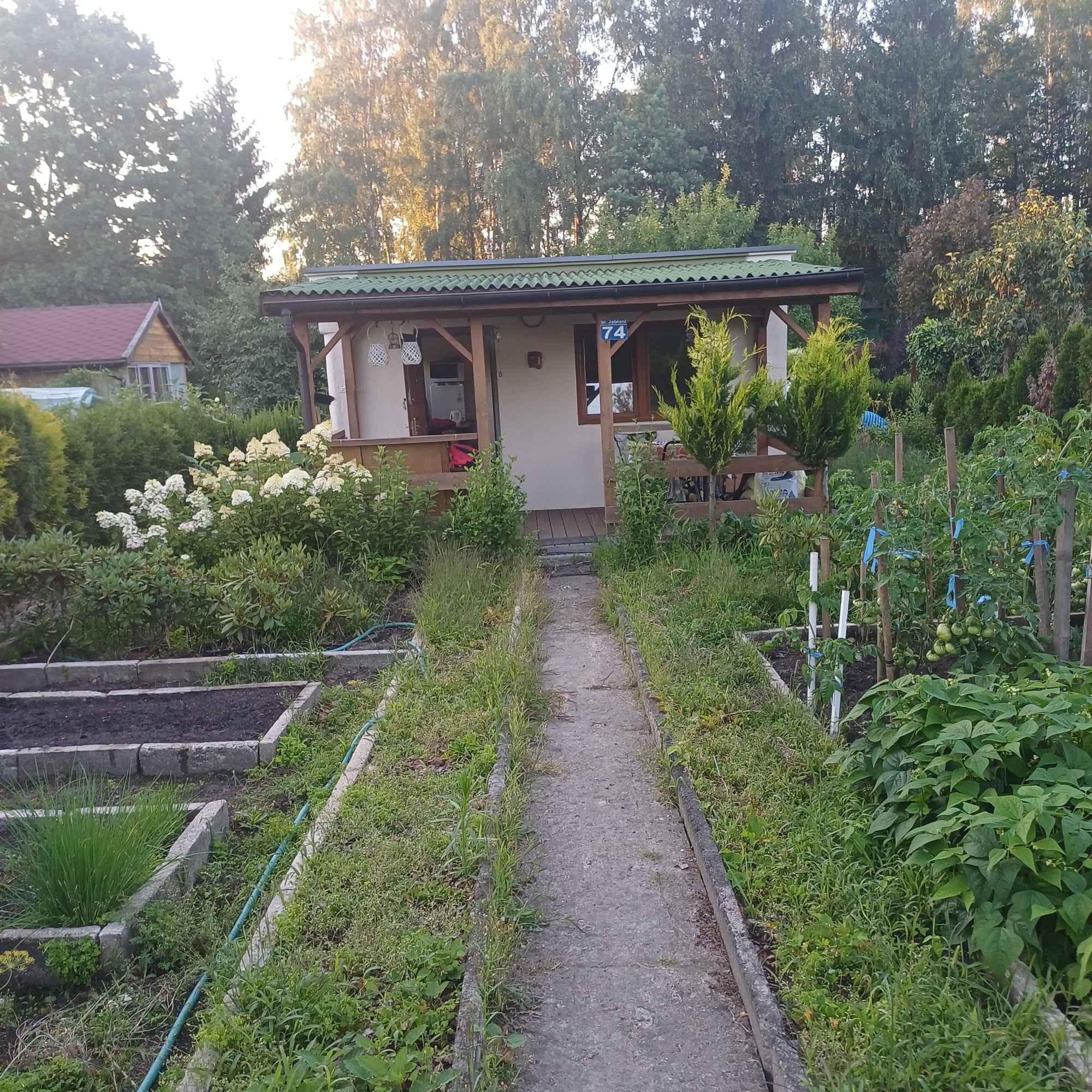 Wandq Widzew - zdjęcie 2
