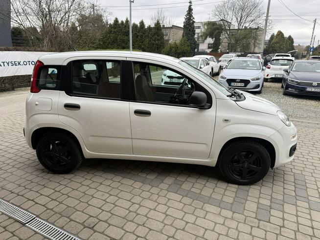 Fiat Panda !! Rezerwacja !! Orzech - zdjęcie 5