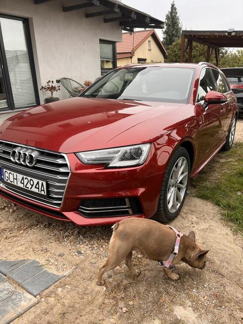 Audi a4b9 s linę 2017r 2.0 tdi 150 km Polski salon Chojniczki - zdjęcie 7